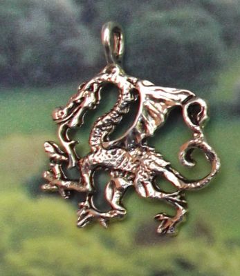 Celtic Prapheron Dragon Jewelry Pendant