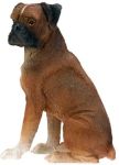 Dog Breed Statues - Boxer - Small