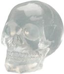 Translucent Skull Statue